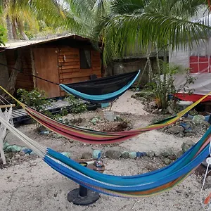 cabaa-sustentable-cozumel.quintano-roohotels.com/