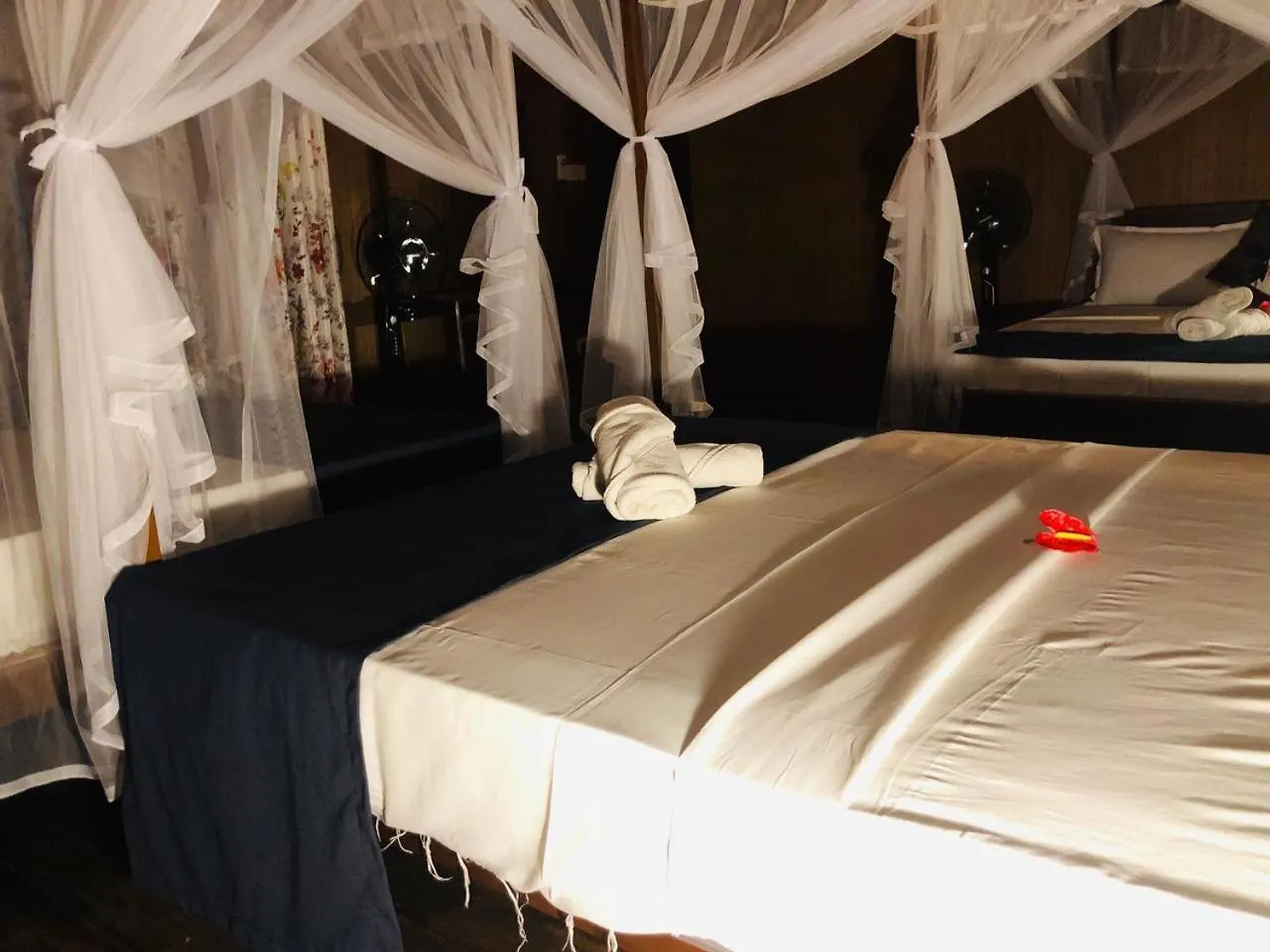 Galaxy View Homestay Sigiriya